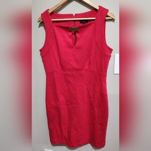 Laundry By Shelli Segal  Sleeveless Pink Dress with Gold Accents  Size 12